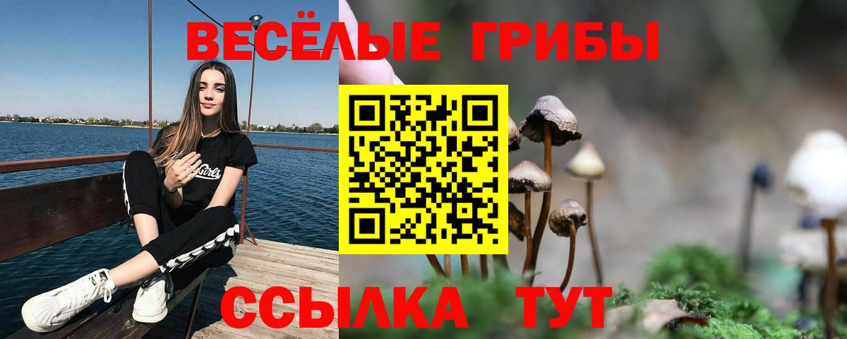 Псилоцибиновые грибы Psilocybe  Вход с VPN  Псков  Псилоцибиновые грибы MAGIC MUSHROOMS 